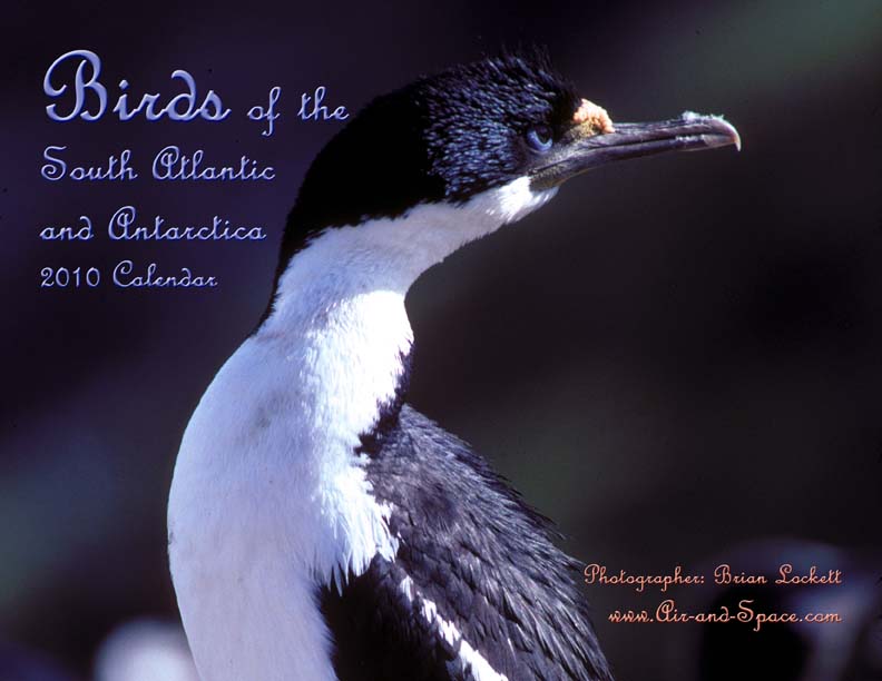 Lockett Books Calendar Catalog: Birds of the South Atlantic and Antarctica